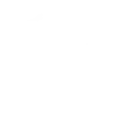 Natural Language Processing (NLP)